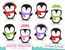 Penguin Clipart, Penguins Clipart, Winter clipart, Christmas clipart, 8  High Quality PNG Images, Instant Download