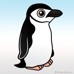 Cute Birdorable Chinstrap Penguin, also known as Ringed ...