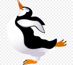 Penguin Cartoon png download - 737*800 - Free Transparent ...