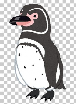 Galapagos Penguin PNG Images, Galapagos Penguin Clipart Free ...