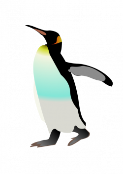 Emperor Penguin Bird Gentoo penguin Clip art - Penguins ...