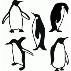 Penguins set | Clipart | Penguin drawing, Penguin tattoo ...