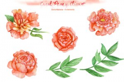 Watercolor Coral Peony Clipart ~ Illustrations ~ Creative Market