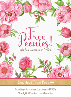 Free Watercolor Peonies Clipart now available! 1 18 pretty, high res ...