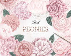 18 Blush Peonies Clipart, Peony Clipart Set, Individual PNG Files, Wedding  Flowers Clip Art, Irish Cream Peony, Commercial Use OK