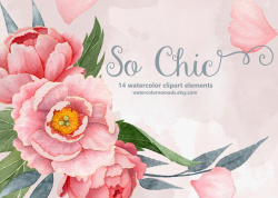 Peony clipart, Watercolor flowers, boho wedding, pink peonies wreath,  digital watercolour, floral illustration, instant download, scrapbook