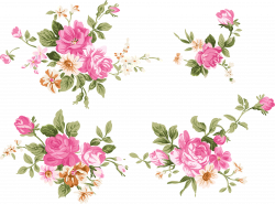 Flower Watercolor painting Clip art - burgundy 4386*3250 transprent ...
