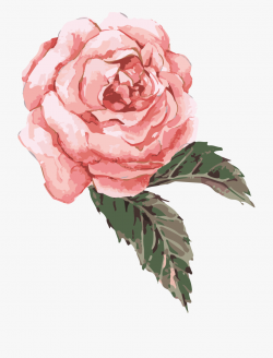 Clip Art Transparent Watercolor Roses Clipart - Pink Flower ...