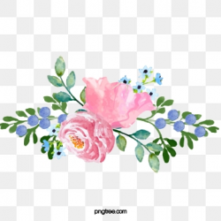 Peony Clipart Images, 36 PNG Format Clip Art For Free ...