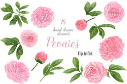 Wedding floral clip art, peonies clipart, hand drawn summer pink peonies  clip art, flowers, foliage