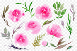 Watercolor Floral Background clipart - Peony, Flower, Pink ...