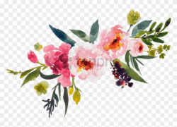 Peony Clipart Transparent Background - Watercolor Flowers ...