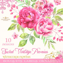 Peonies Clipart, Peonies Watercolor Clipart, Watercolor Flowers Clipart,  Pink Flower Clipart, Vintage, Floral Elements Bouquets Png Digital