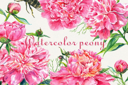 Peony clipart, Peonies flower clipart, floral elements