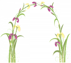 Transparent Floral Arch PNG Picture | elementy dekoracyjne ...