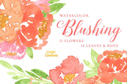 Coral Watercolor Peonies Clipart, Flower Clipart, Hand ...