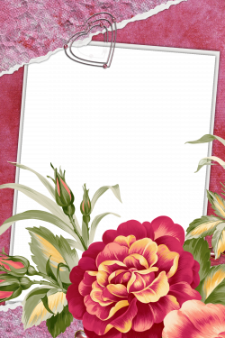 Large Red Transparent Frame with Beautiful flower | Gallery ...