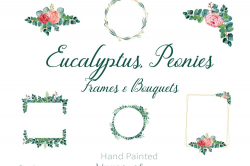 Eucalyptus and Peonies Frames Watercolor Clipart, PNG Isolated Files, Hand  Painted Floral Illustration, Eucalyptus Frames, Peonies Frames
