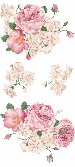 Peony Drawing Painting - Hand-painted peony 2881*6353 transprent Png ...