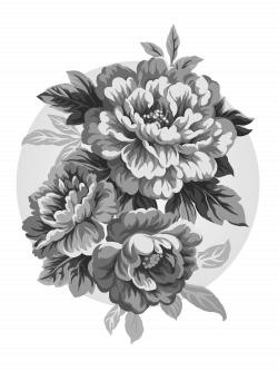 Peony Drawing Paeonia lactiflora Clip art - peony 2250*3000 ...