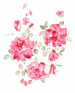 Garden roses Flower Clip art - Red Peony picture material 999*1231 ...