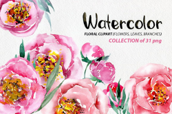 Watercolor flowers peonies png