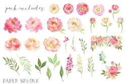 Watercolor Flower Peonies Clipart by PaperSphinx on ...