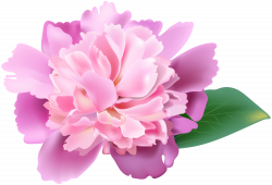Pink Peony PNG Clip Art Image | Gallery Yopriceville - High-Quality ...