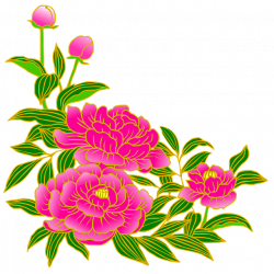 Free photo Gay Flowers Peony Pink Japanese Style Summer - Max Pixel