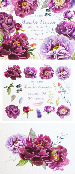 Watercolor Peonies Flowers Clipart, Purple, Violet ...
