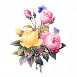 Free Image on Pixabay - Flowers, Vintage, Cutout, Cut Out | Pinterest
