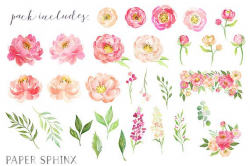 Watercolor Peonies Clipart | Spring Wedding Flowers - Coral ...