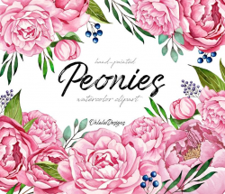 Watercolor Peonies Clipart, Spring Wedding Flowers, Wedding Clipart, Floral  Clipart, Instant Download, Pink Peonies