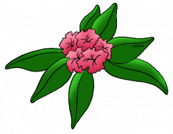 Flowers Clip Art by Phillip Martin, Rhododendron