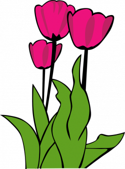 Anemone Flower Cliparts#4206535 - Shop of Clipart Library