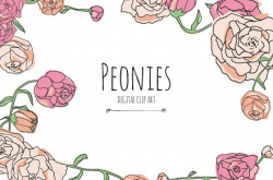 Peonies - Digital Clip Art ~ Illustrations ~ Creative Market