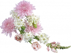 Transparent Soft Flower Arrangement Clipart | flowers | Pinterest ...