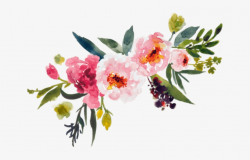 Peony Clipart Peony Bouquet - Watercolor Flowers Transparent ...