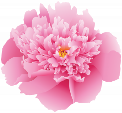 Pink Peony Flower PNG Clip Art Image | Gallery Yopriceville ...