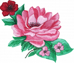 17 Paint Flower Ornament (PNG Transparent) Vol. 5 | OnlyGFX.com