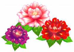 Exotic Flowers PNG Clipart Image | Gallery Yopriceville - High ...
