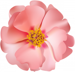 Rosebush Flower PNG Clip Art Image | Gallery Yopriceville - High ...
