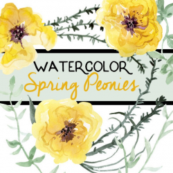 Watercolor Yellow Spring Peonies, Floral Spring Clip Art, Bridal Florals,  Watercolor Artwork Large Yellow Flowers