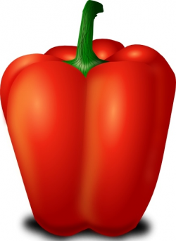 Red Pepper clip art Free vector in Open office drawing svg ...