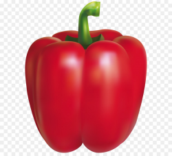 Chili pepper Bell pepper Peppers Clip art - Red Pepper PNG Clipart ...
