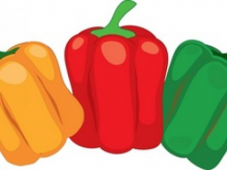 Free Capsicum Clipart, Download Free Clip Art on Owips.com