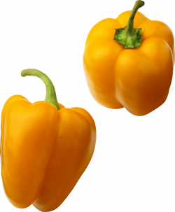 Pepper PNG Image - PurePNG | Free transparent CC0 PNG Image Library
