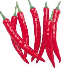 Red Chilli Pepper Row transparent PNG - StickPNG