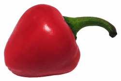Chili Pepper PNG Image - PurePNG | Free transparent CC0 PNG Image ...