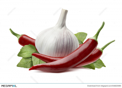 Garlic Bulb, Chili Pepper Isolated On White Background Stock ...